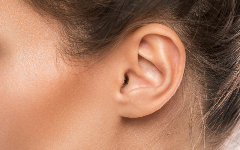 Earwax 